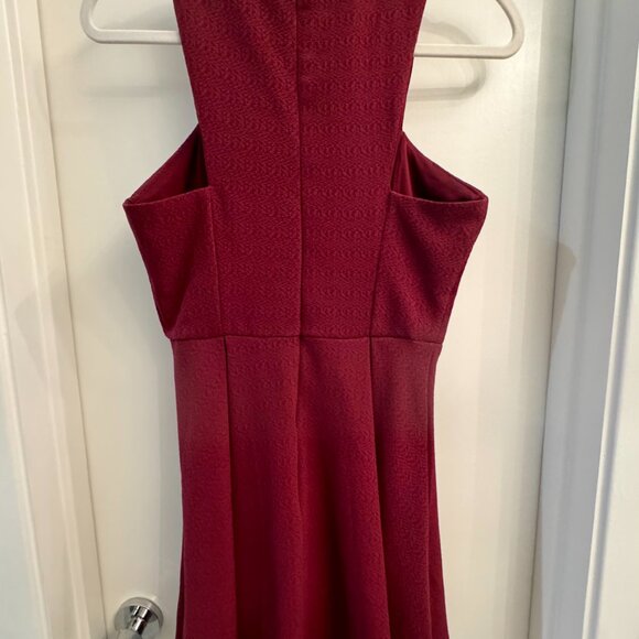 Tobi Never Ending Skater Dress in Burgandy - Picture 4 of 6